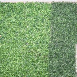 W01-000-003 Backdrop - Green Wall