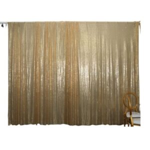W01-000-006 Backdrop - Sequin
