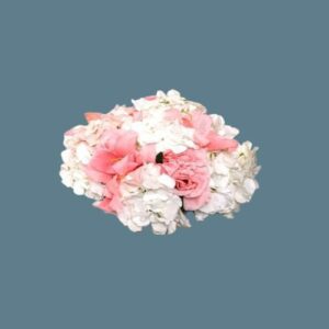 Pink Hydragen
