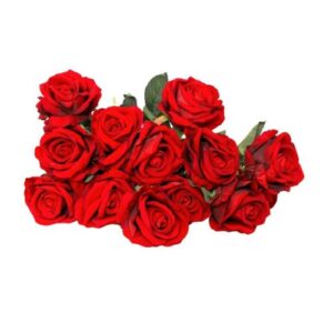 Red Burgundy Green Rose