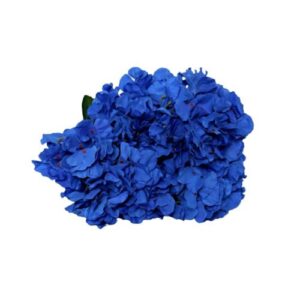 W13-000-011.jpg Royal Blue Hydragen