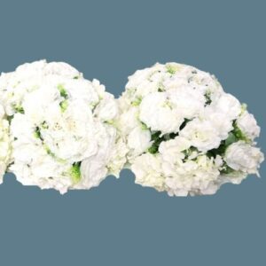 W13-000-013.jpg White Ivory Hydragen