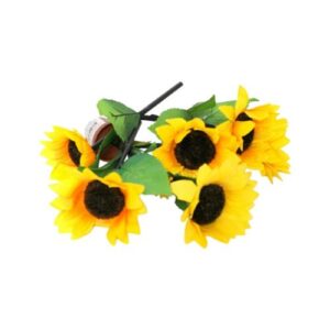 W13-000-015.jpg Yellow Hibiscus