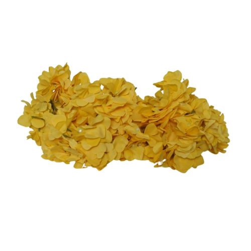 Yellow Hydragen