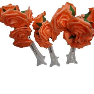 W13-000-020.jpg Orange Roses
