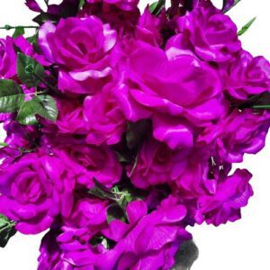 W13-000-030.jpg Purple Big Roses Blossom Purple
