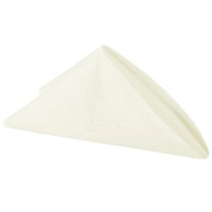 W08-000-018 Lamour Satin Napkin 20"x20" - Ivory