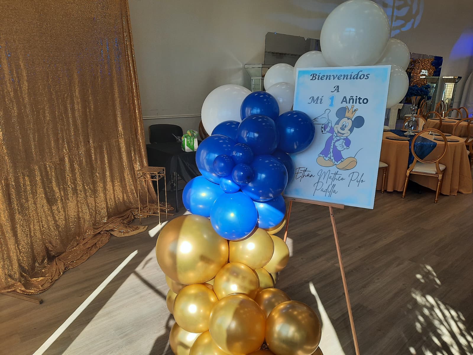 Luxury kiddies party in Houston
